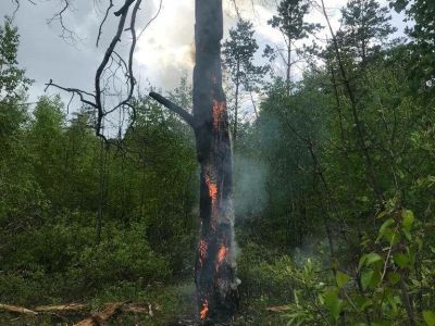 В Амгинском районе предотвратили лесной пожар, спровоцированный ударом молнии