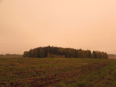 Священная роща
