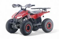Квадроцикл RIVERTOYS Leon 49CC