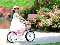 Детский велосипед Royal Baby Little Swan 14, год 2022, цвет Розовый