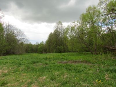 Усадьба Толстиково. Здесь жила русская поэтесса Жадовская Ю.В.