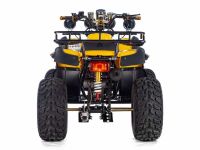 Квадроцикл TIGER Sport 250 (2024)