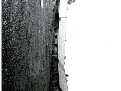 Конный и скотный двор