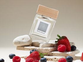 Диффузор Berries festival 100 мл