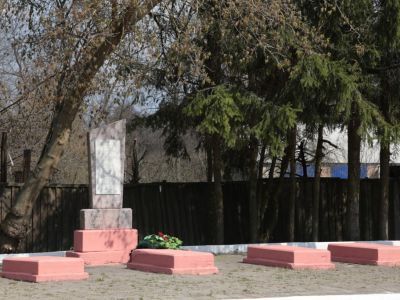 Братская могила погибших в 1917-1920 гг. в борьбе за установление Советской власти в городе