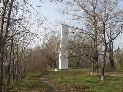 Тополевая роща на месте казачьего городка