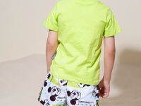 Плавательные шорты (Бордшорты) с принтом Disney для мальчика