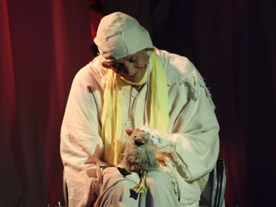 Чайка по имени... (Театр кукол им. Образцова)