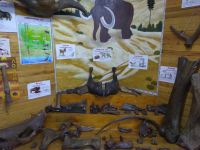 Усть-Ишимский краеведческий музей