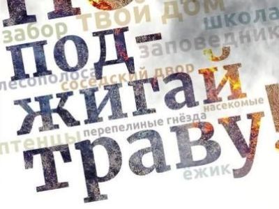 Лес мусора не терпит