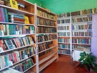 Борзовская сельская библиотека – филиал № 35