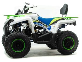 Квадроцикл MOTOLAND 200 Shark (2021 Г.)