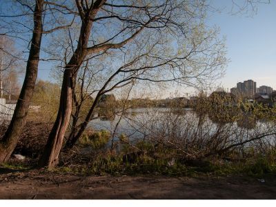 Усадьба "Никольское": парк с прудами