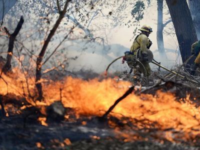 Более 170 тысяч гектаров леса сгорело в Якутии