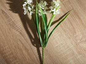 Ветвь Buona Pasqua III