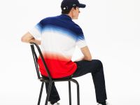 Мужское поло Lacoste