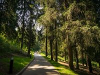 Парк Подрезково