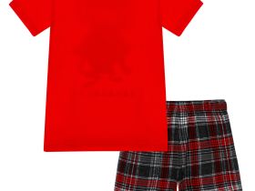 Комплект для мальчиков: фуфайка (футболка) трикотажная, шорты текстильные