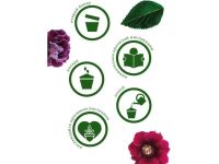 Набор подарочный для выращивания растений "Вырасти, Дерево!", "Глоксиния гибридная".