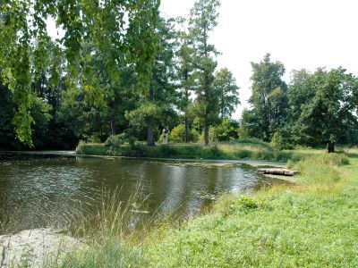 Парк с прудами усадьбы, в которой  родился декабрист  Бестужев-Рюмин Михаил Павлович