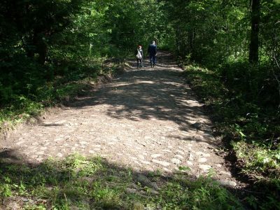 Усадьба Н.И. Железнова "Матвейково"