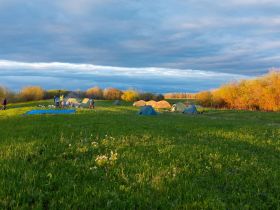 Луковый сплав