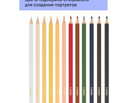 Набор карандашей цветных Гамма "Хобби. Портрет" 12 цв.,заточен., ПВХ, европодвес