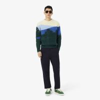 Мужские брюки Lacoste из эластичного органического хлопка