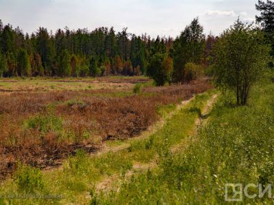 В Якутии ужесточают контроль: весенние палы запрещены, нарушителей ждут штрафы и санкции