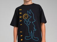 Фуфайка трикотажная для мальчиков (футболка)