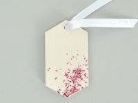 Саше Рождественская сказка