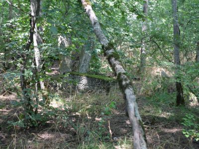 Надмогильные памятники хадагинского кладбища