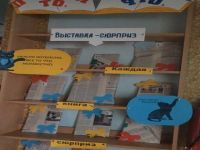 Центральная детская библиотека поселка Чернышевска