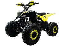 Квадроцикл MOTOLAND Vox 125 Raptor