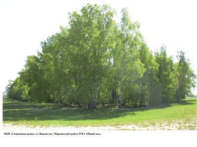 Священная роща