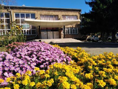 Алексеевский дом культуры