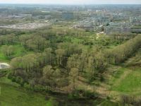 Парк «Осановская роща»