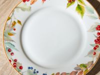 Тарелка Rose hip II