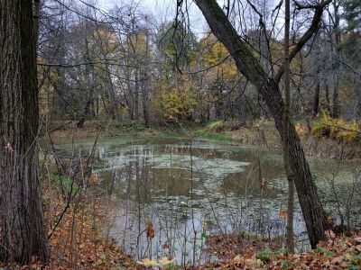 Парк с прудами