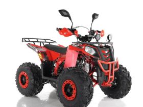 Квадроцикл RAPTOR R8