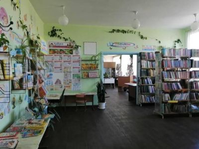 Ленская сельская библиотека