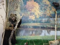 Музей народного творчества Спасского района