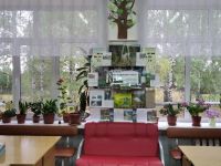 Бабкинская сельская библиотека экологического просвещения