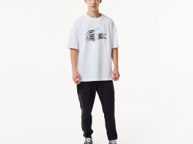 Мужская хлопковая футболка Lacoste