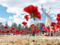 Центр культурного развития г. Костомукши