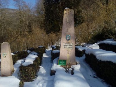 Могила И.А. Кошмана, пионера выращивания русского чая