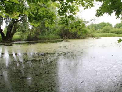 Усадебный парк