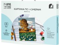 Картина по номерам на холсте ТРИ СОВЫ "Ромашковое поле", 30*40 см, с акриловыми красками и кистями