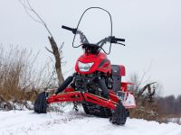 Снегоход IRBIS DINGO T150