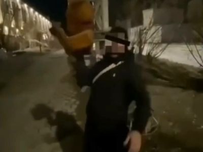 В Якутске вандалы осквернили скульптуру совы